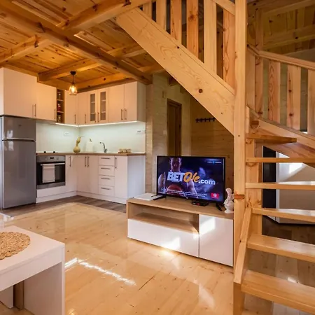 Prázdninový dům Brvnara Oganj Cajetina (Zlatibor)